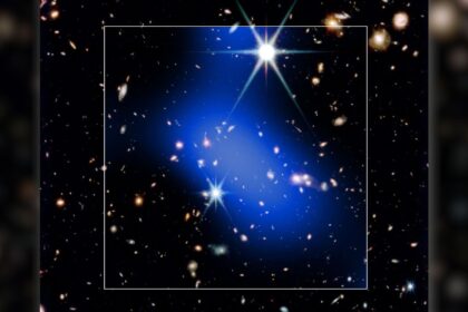 JWST и Chandra нашли гигантский протокластер в ранней Вселенной