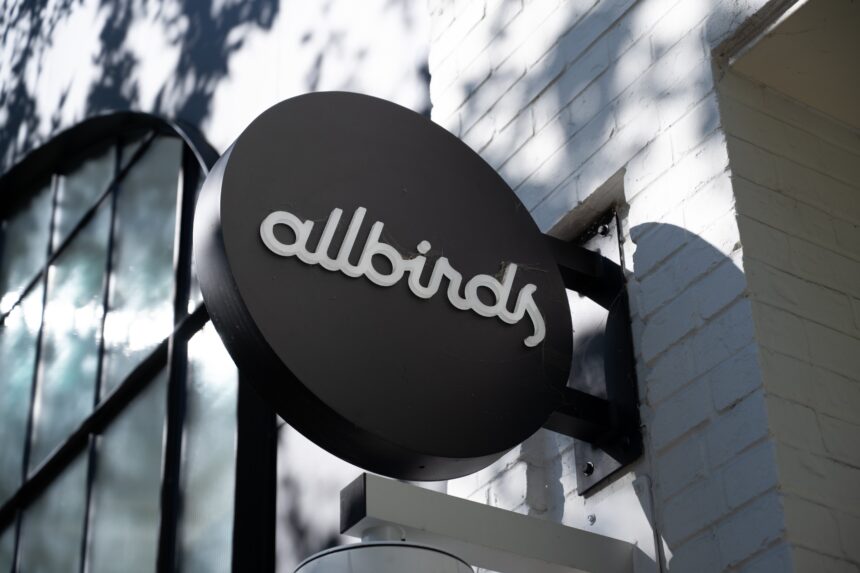 Allbirds стал NewBird AI — акции взлетели более чем на 800%